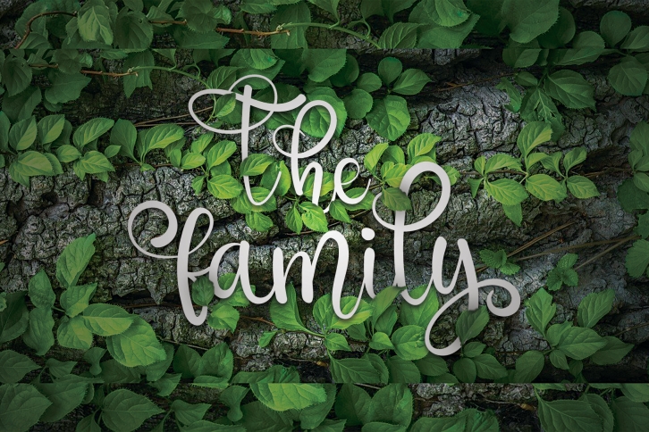 The Family Font Download