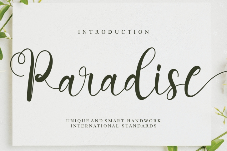 Paradise Font Download