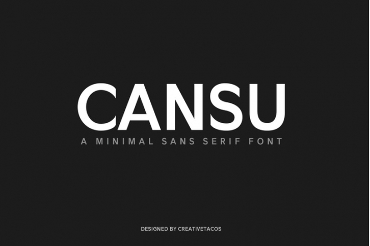 Cansu Sans Serif Font Family Font Download
