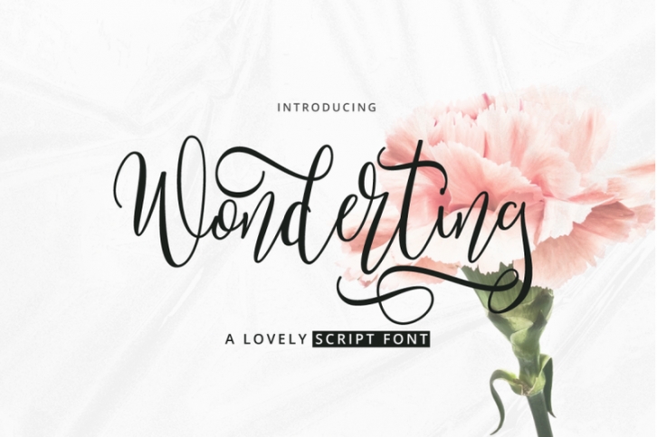 Wonderting Script Font Download