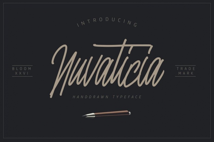 10 Font Script Collection + doodlee art Font Download