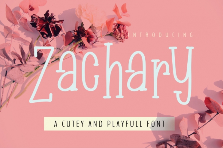 Zachary Font Download