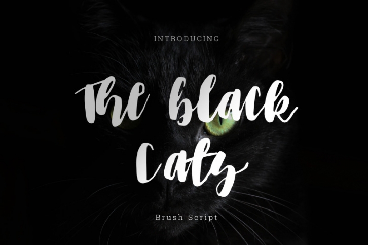 The Black Cats Font Download
