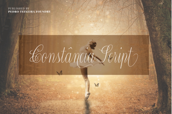 Constancia Script Font Download