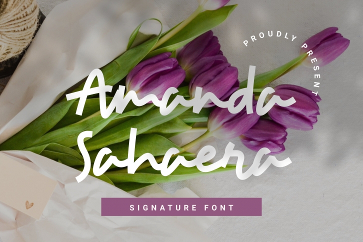 Amanda Sahaera Signature Font Download