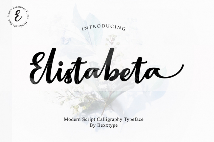 Elistabeta // luxury ligature Font Font Download