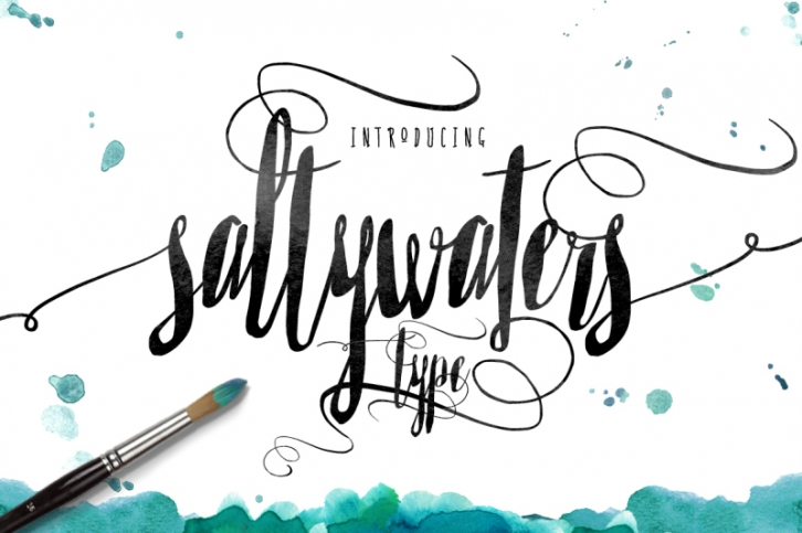 Saltywaters Type font - Script typeface with swashes and stylistic alternates Font Download