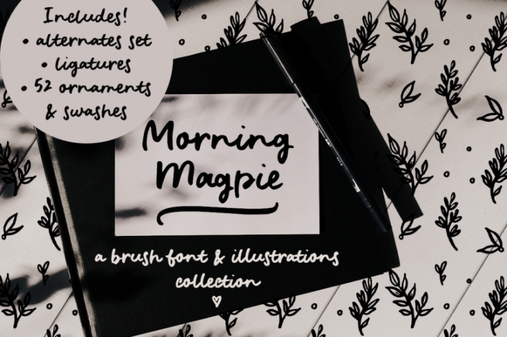 Morning Magpie brush font and illustrations Font Download