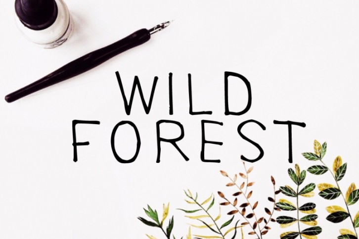 Wild Forest Calligraphy Font Download Modern Digital Typeface Font Download