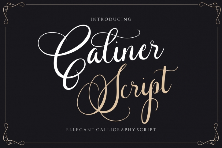 Caliner Scrip Font Download