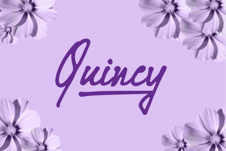 Quincy Font Download
