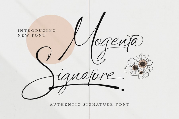 Mogenta Signature Font Download