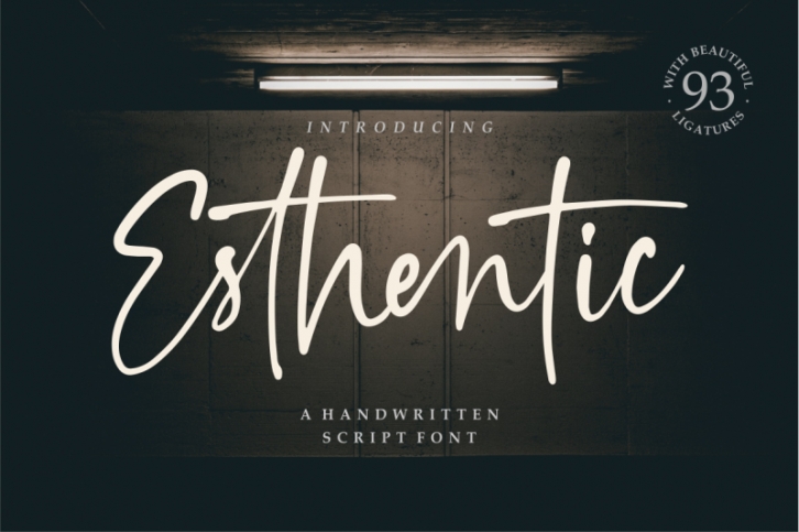 Esthentic a Handwritten Script Font Font Download