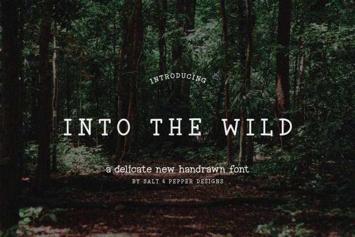 Into the Wild Font Font Download
