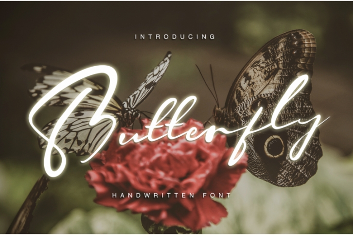Butterfly - Handwritten font Font Download