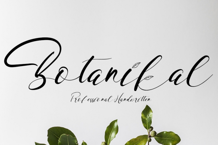 Botanikal Font Download