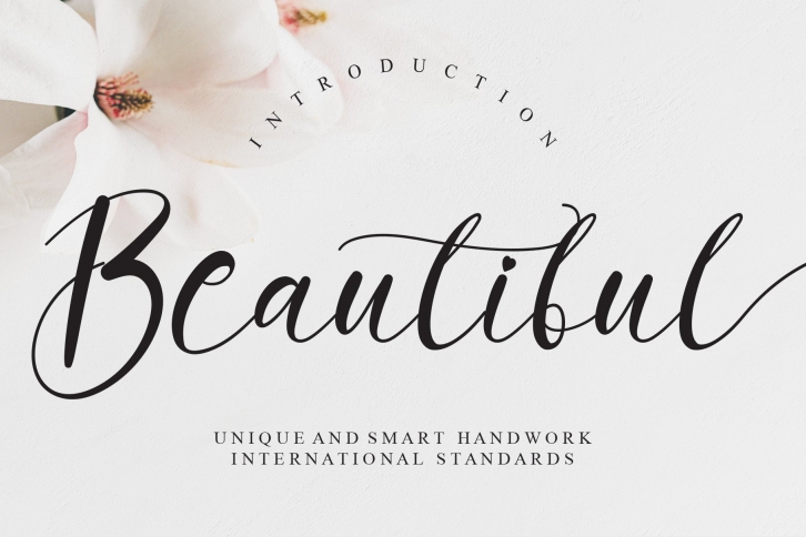Beautiful Font Download
