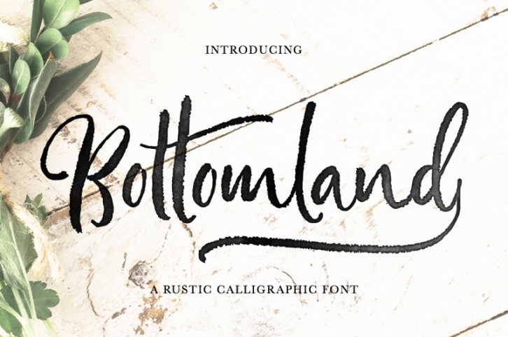 Bottomland • Ink Rustic Script Font Download