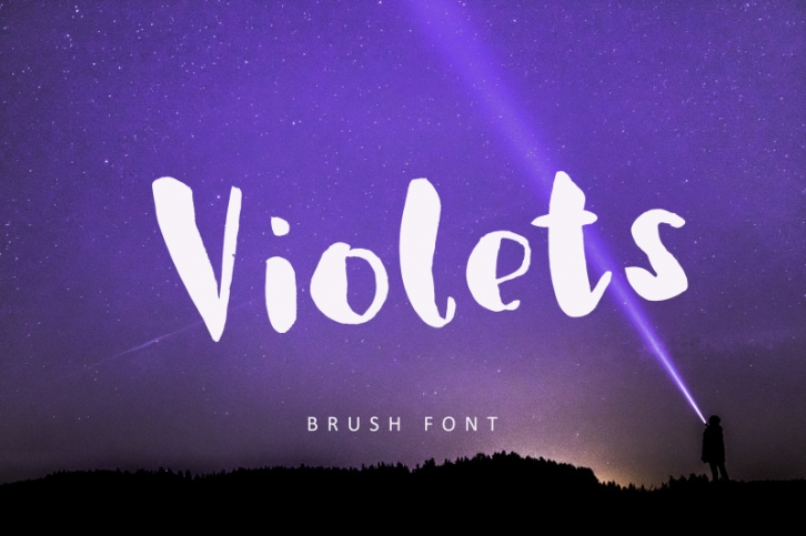 Violets, brush font Font Download
