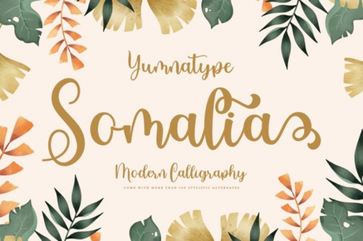 Somalia Script Font Font Download