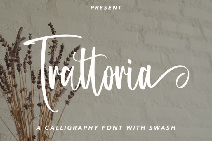 Panacosta Script Font Download