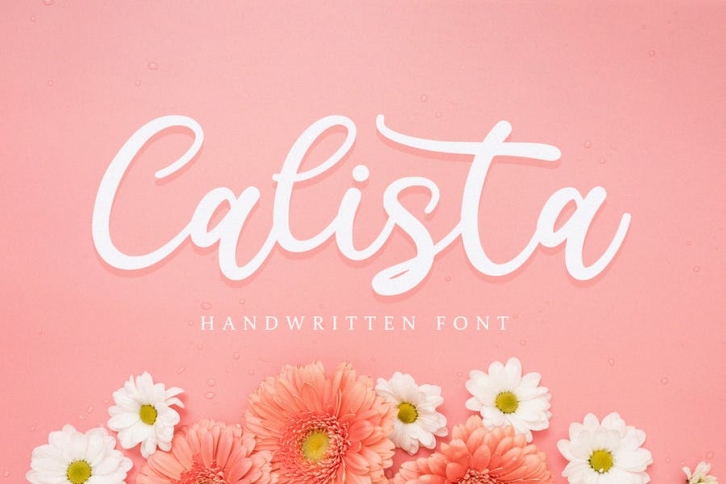Calista - Handwritten Font Font Download