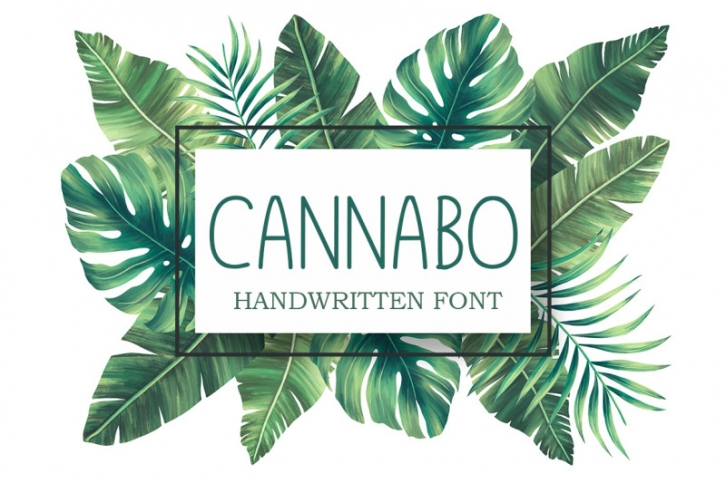 Cannabo Font Download