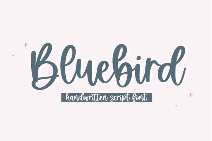 Bluebird - Handwritten Script Font Font Download