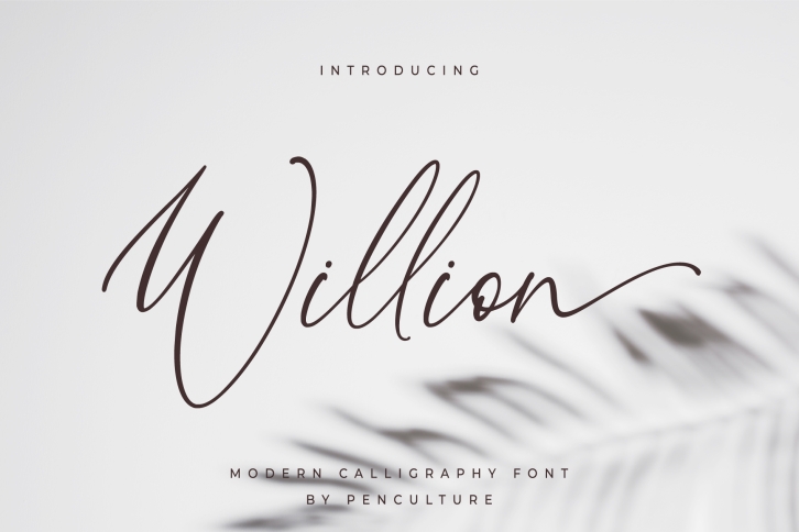 Willion Calligraphy Font Download