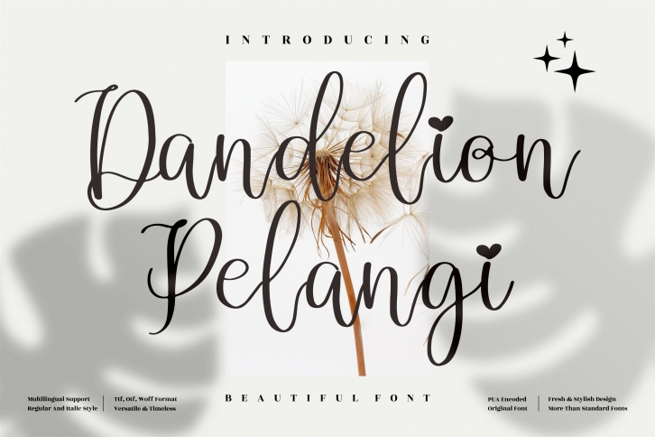 Dandelion Pelangi Font Download