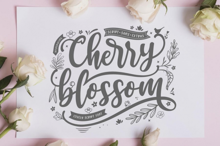 Cherry Blossom Sans Script Font Font Download
