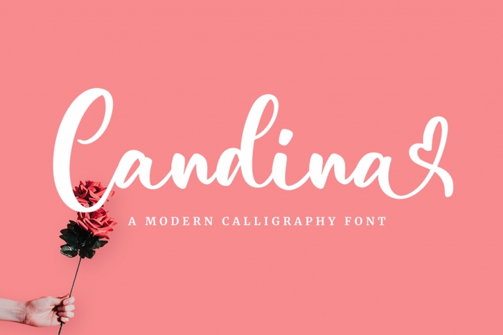 Candina Font Download