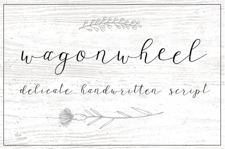 Wagonwheel Delicate Handwritten Script Font Download