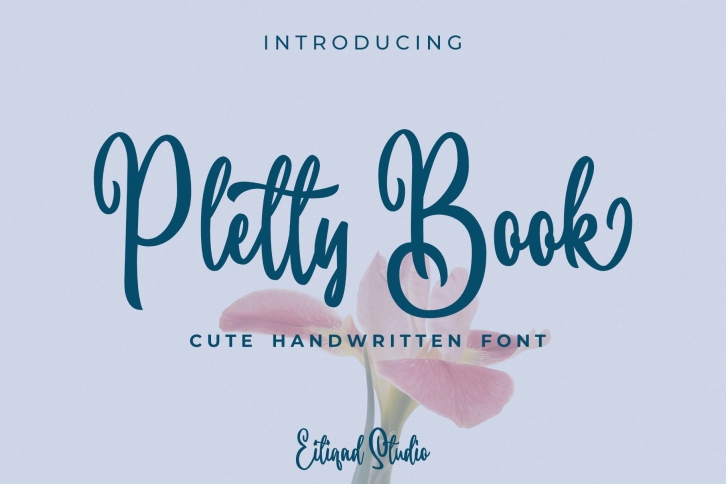 Pletty Book Font Download