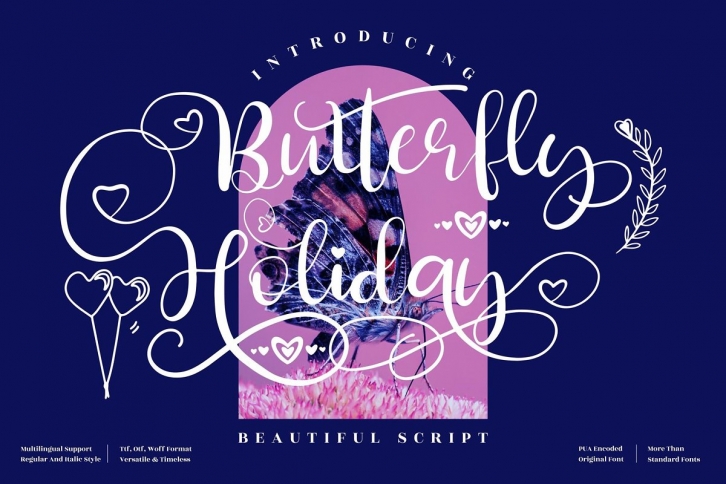 Butterfly Holiday Script LS Font Download