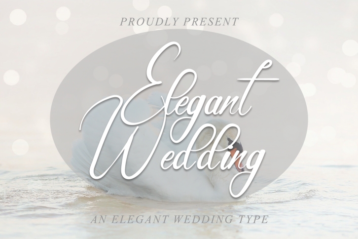 Elegant Wedding Font Download