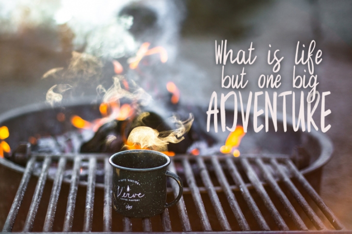 Wild Forest a modern brush font Font Download