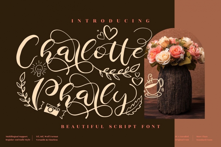 Charlotte Pharly Script LS Font Download