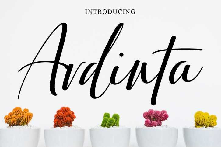 Ardinta Font Download