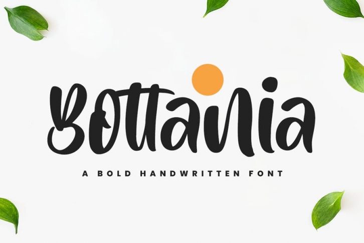 Bottania - Bold Font Font Download
