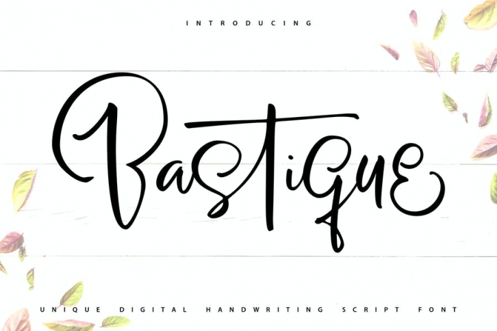 Bastique | Unique Handwriting Script Font Font Download