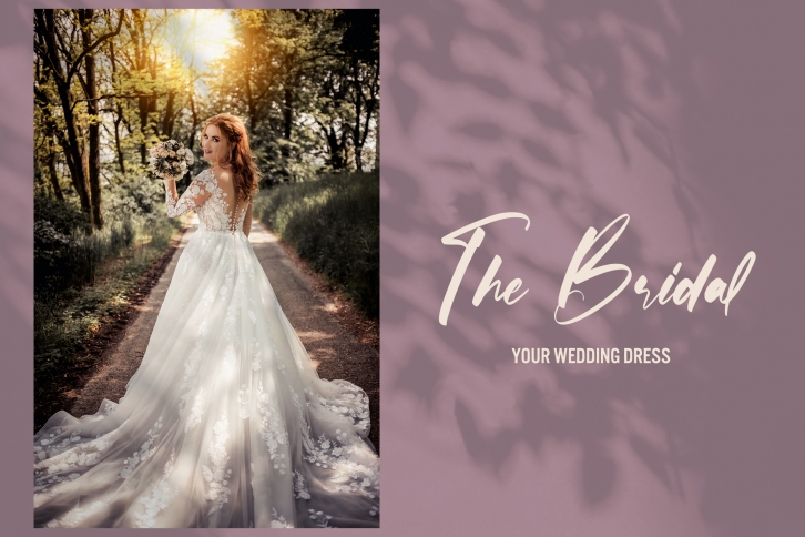 Loveless Font Download