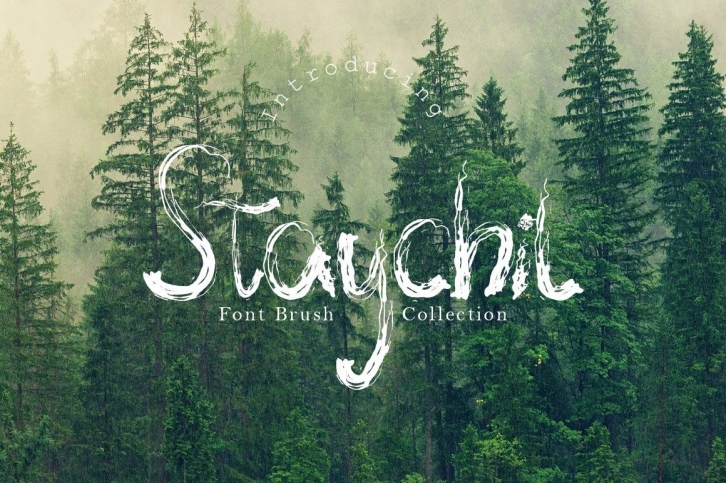 Staychil Font Download