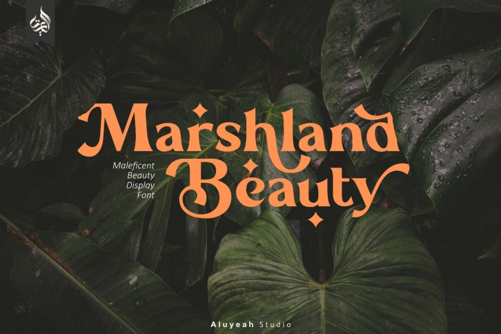 Marshland Beauty Font Download