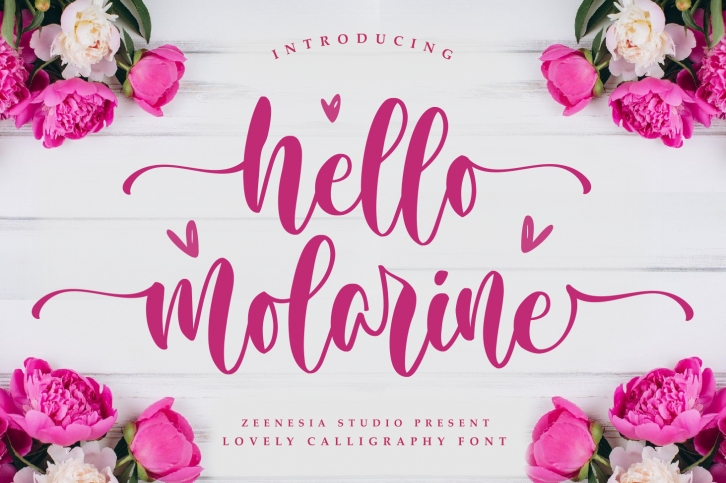 Hello Molarine Font Download