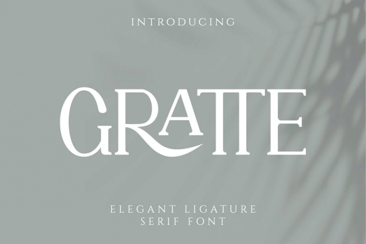 GRATTE Ligature Serif Font Font Download