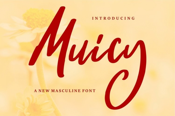 Muicy Font Download