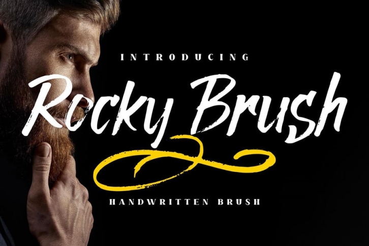 Rocky Brush Brush LS Font Download