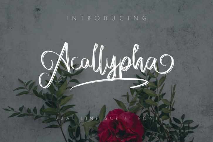 Acallypha - Handwritten Script Font Font Download
