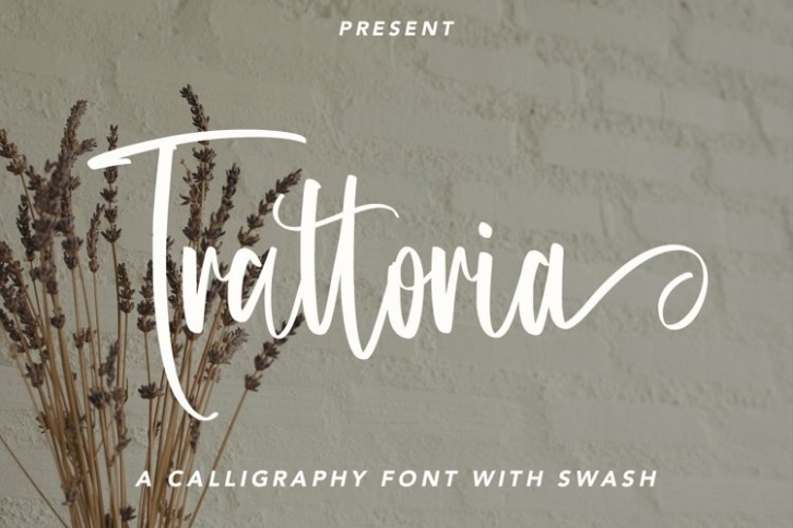 Web Trattoria Font Download